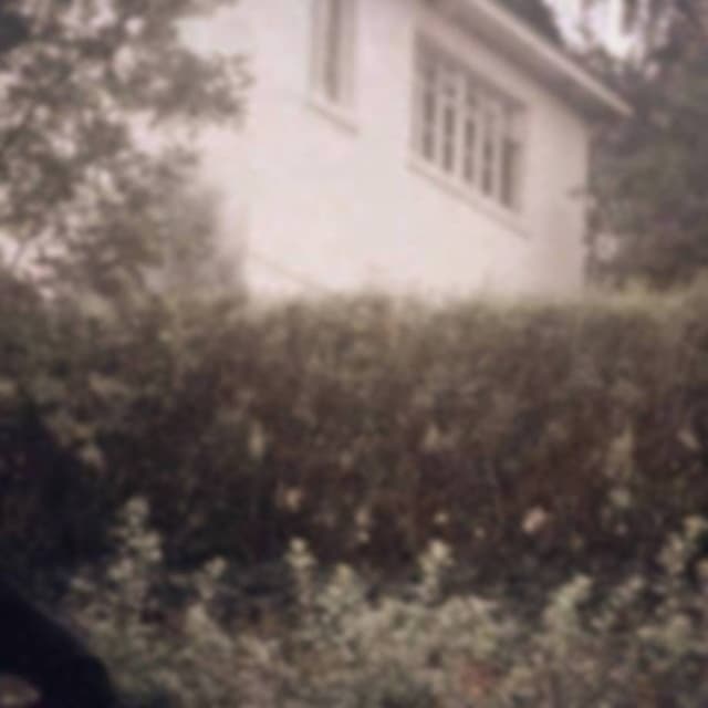 Album cover art for Backyard Cemetery II