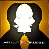 Album cover art for Beautiful Boys