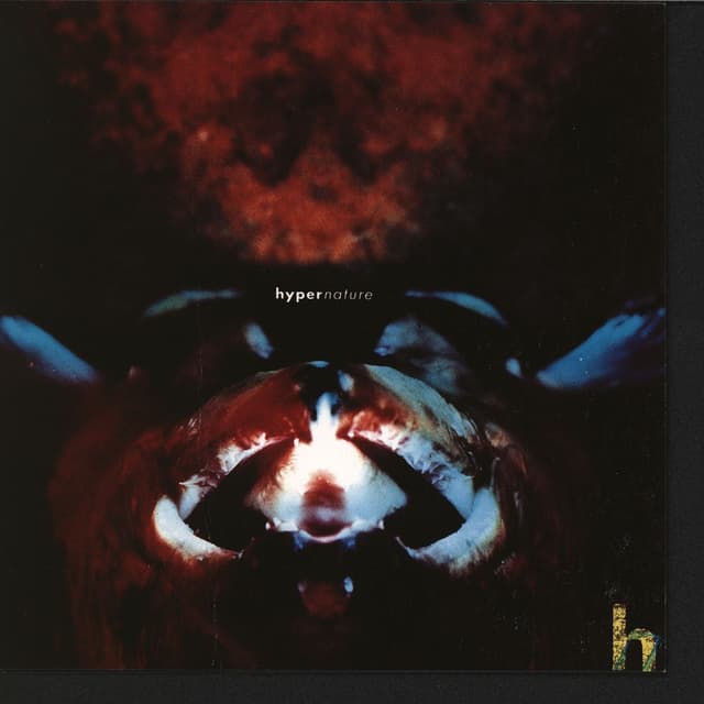Album cover art for In Memory Of The Ritual
