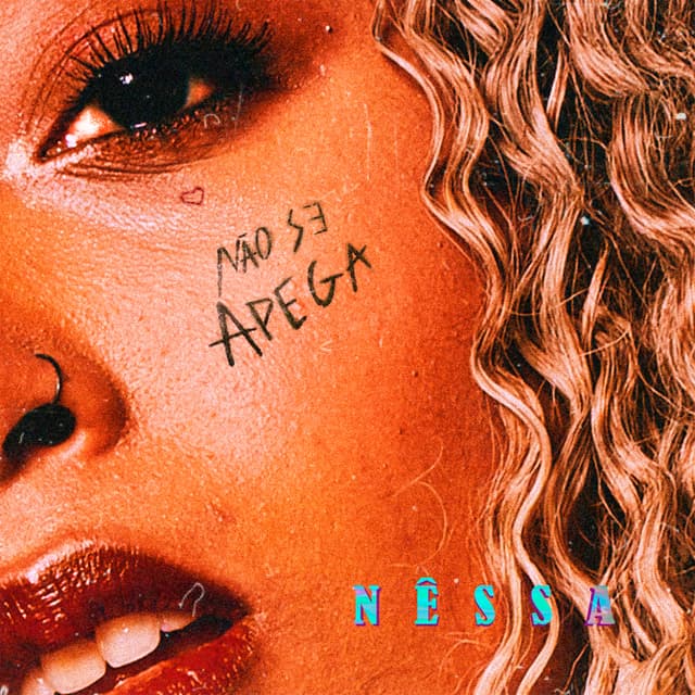 Album cover art for Não Se Apega