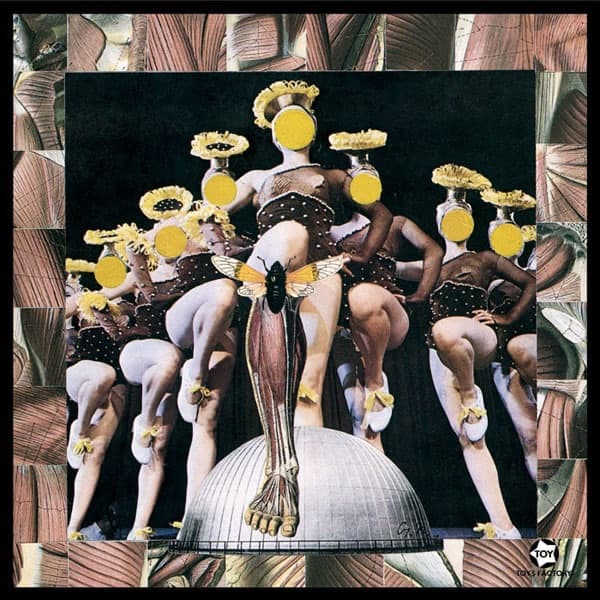 Album cover art for 月光蟲