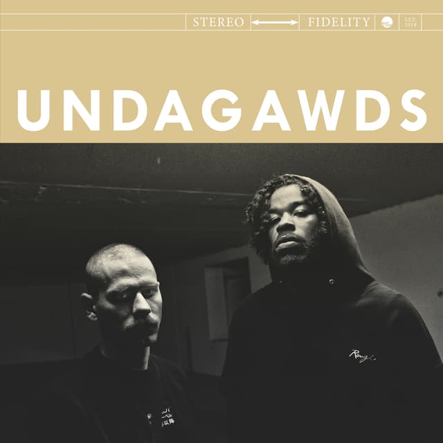 Album cover art for Undagawds