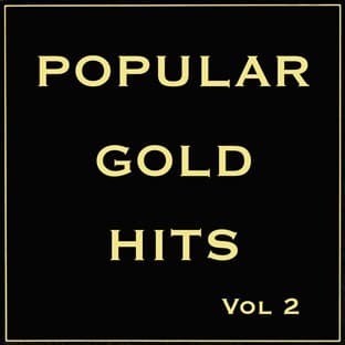 Album cover art for Popular Gold Hits Vol 2
