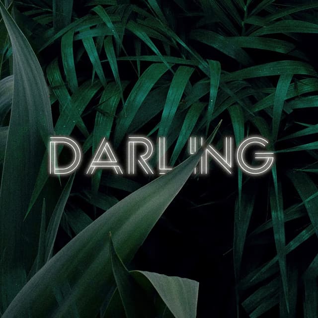 Album cover art for Darling