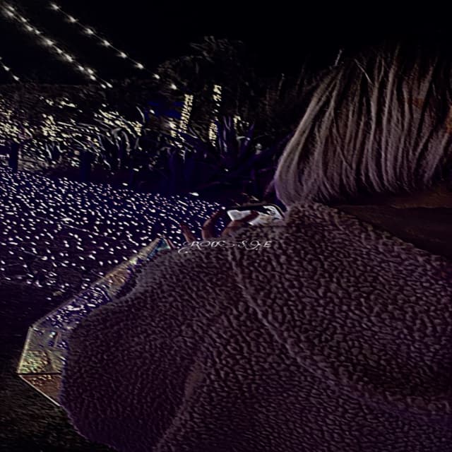 Album cover art for Rose
