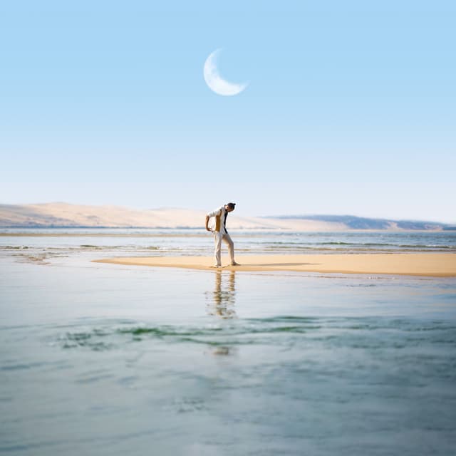 Album cover art for Sur la lune