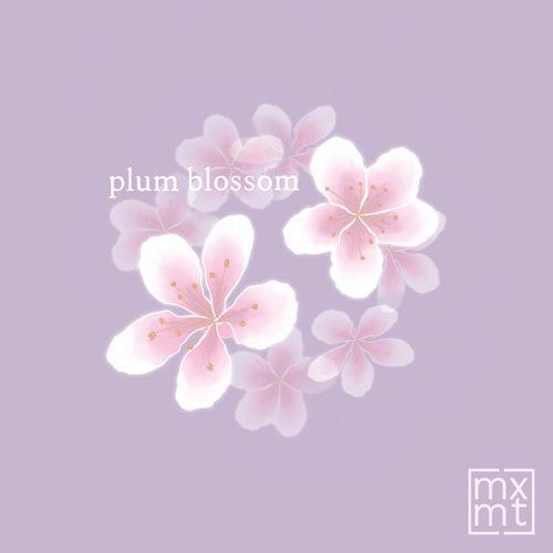 Album cover art for plum blossom