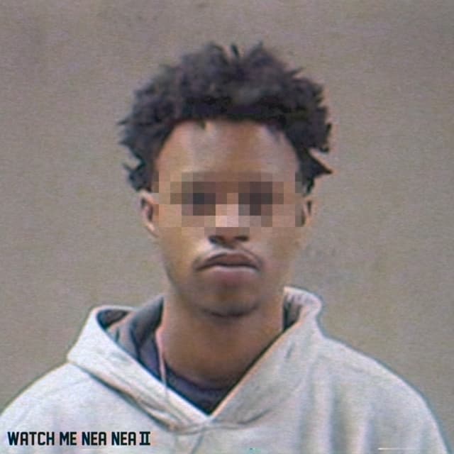 Album cover art for WATCH ME NAE NAE II