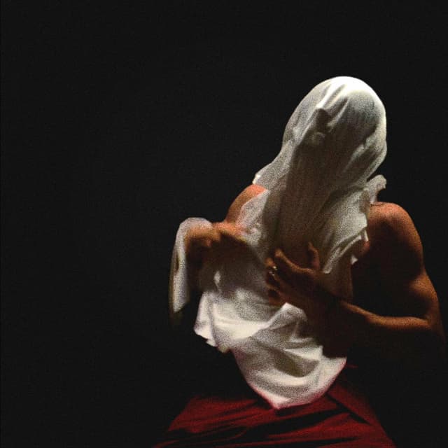 Album cover art for LA GRISAILLE