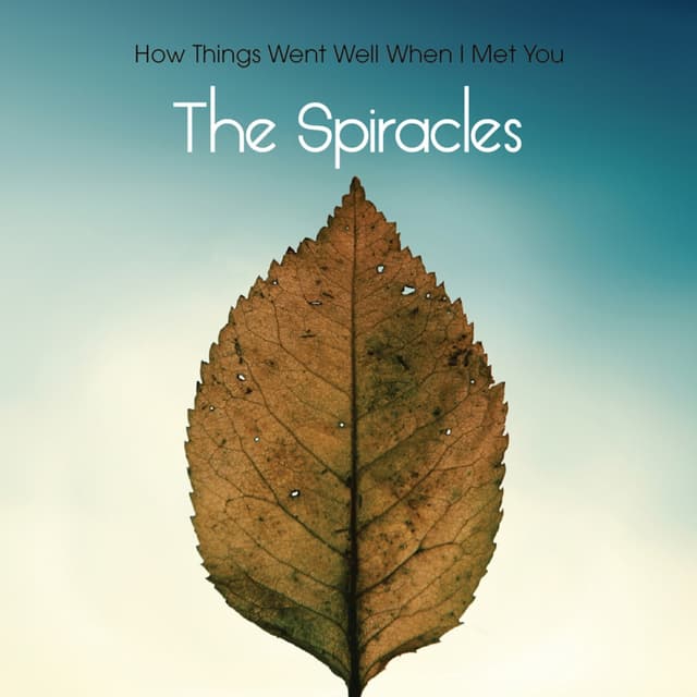 Album cover art for How Things Went Well When I Met You