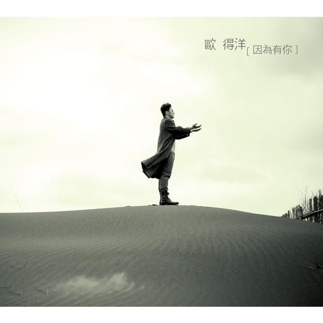 Album cover art for 因為有你