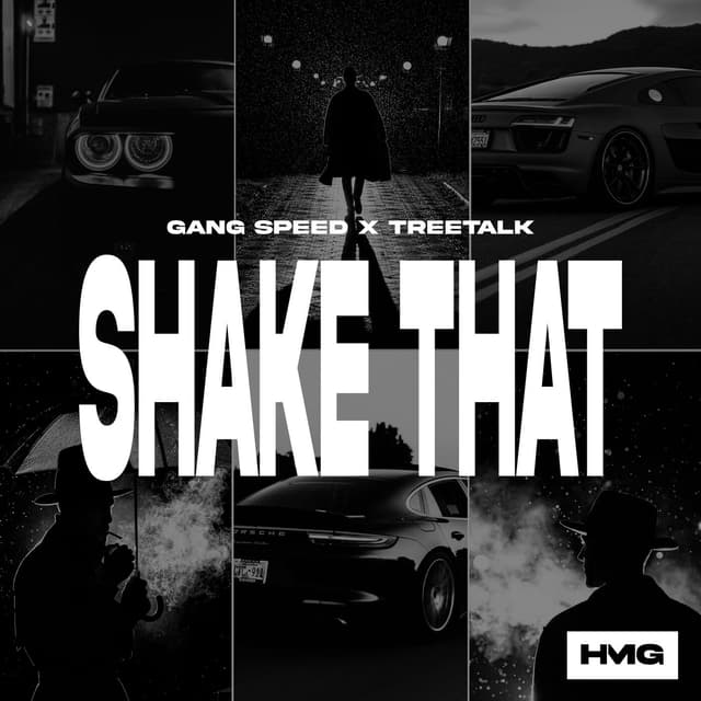 Album cover art for Shake That
