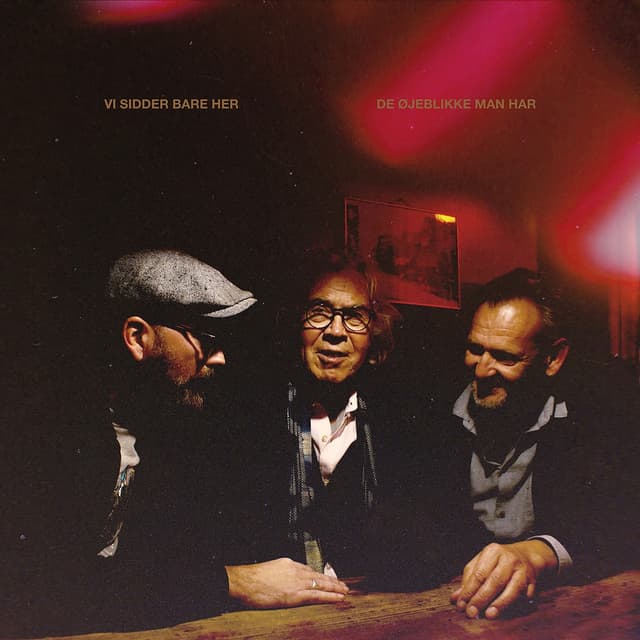 Album cover art for De øjeblikke man har