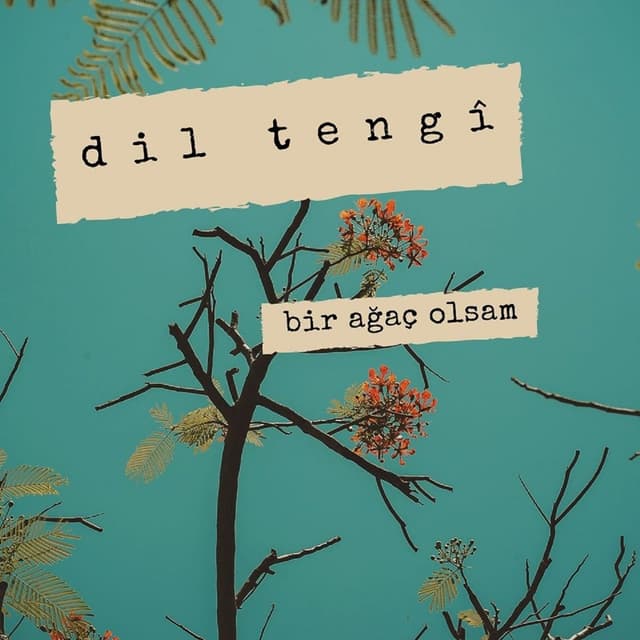 Album cover art for Bir Ağaç Olsam