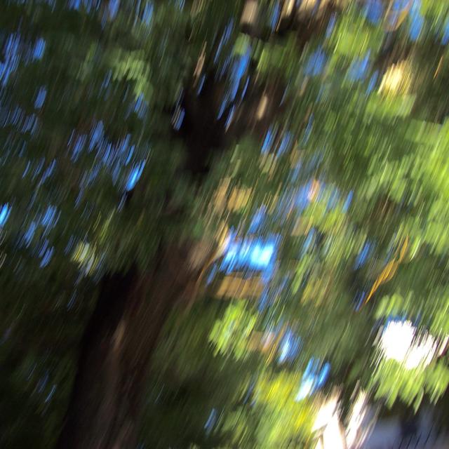 Album cover art for primaveras