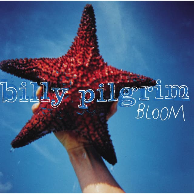 Album cover art for Bloom