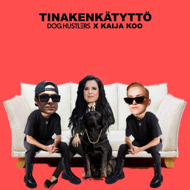 Album cover art for Tinakenkätyttö
