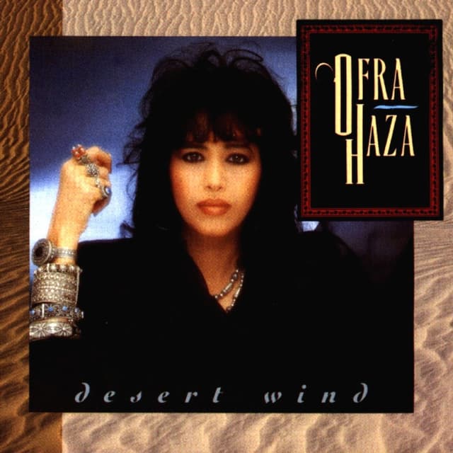 Album cover art for Desert Wind