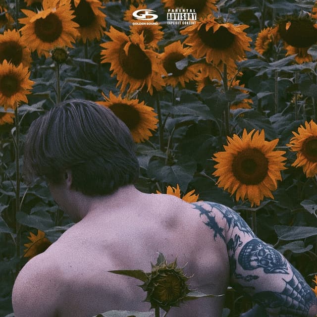 Album cover art for Никому