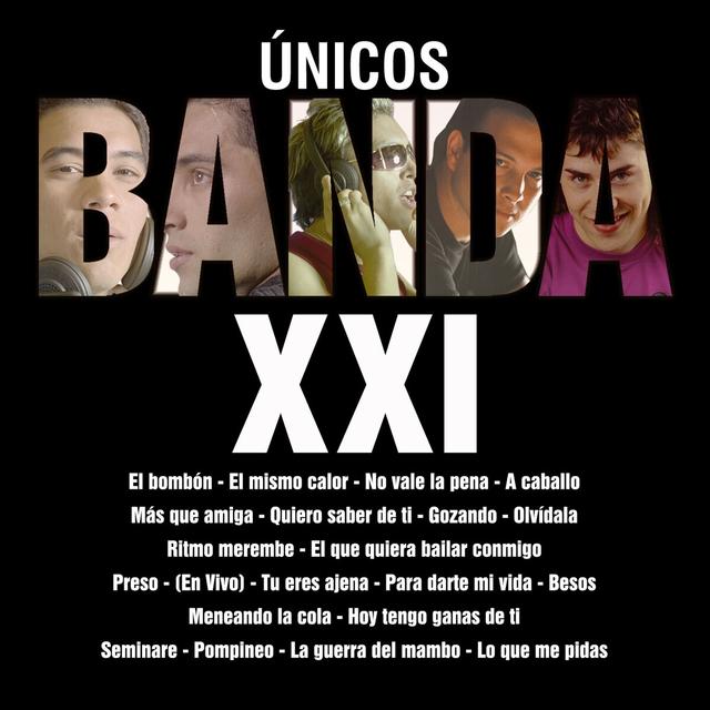 Album cover art for Únicos