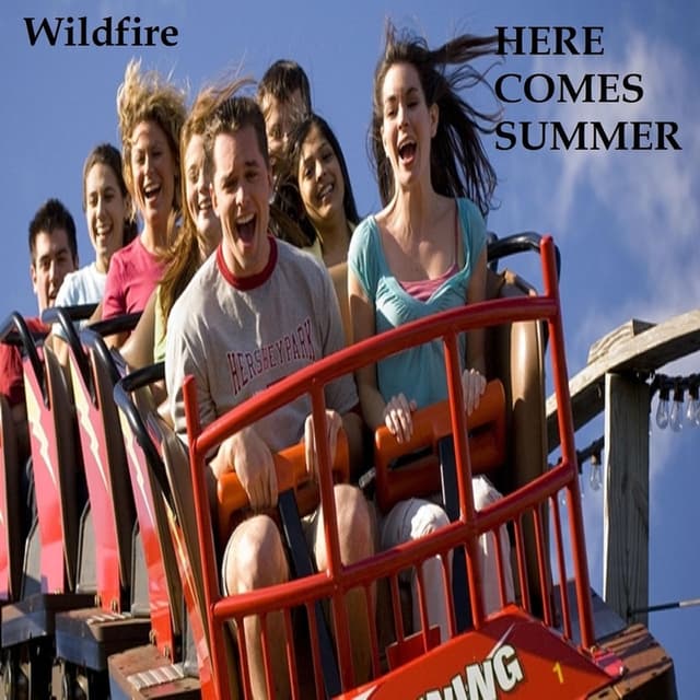 Album cover art for Here Comes Summer