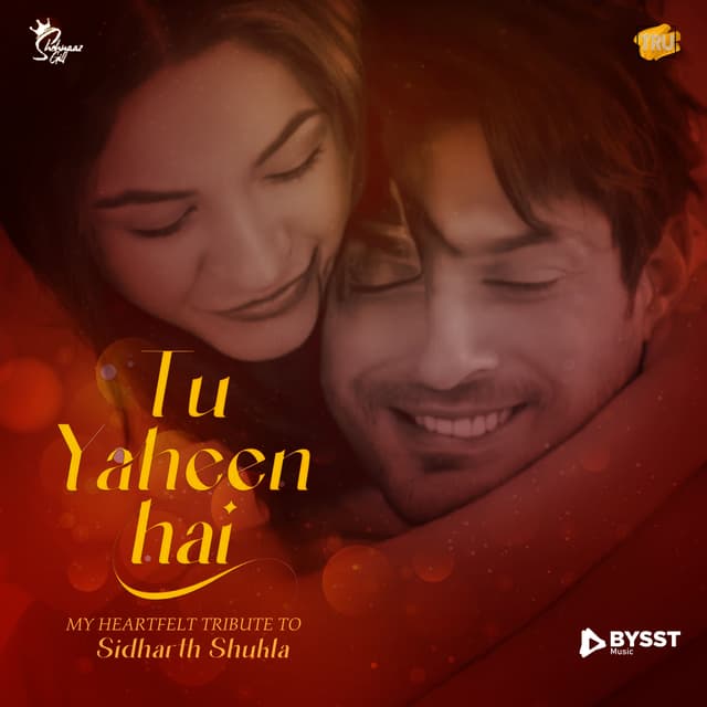 Album cover art for Tu Yaheen Hai