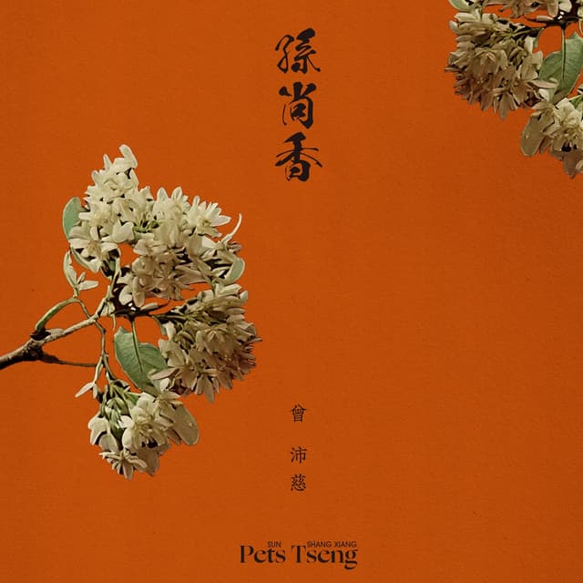 Album cover art for 孫尚香