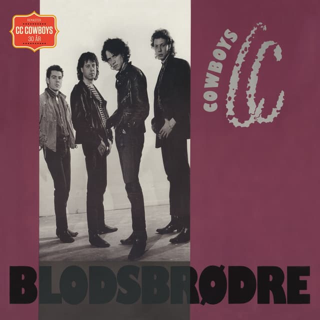 Album cover art for Blodsbrødre