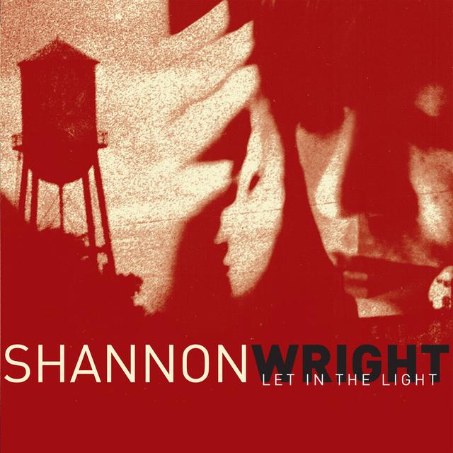 Album cover art for Let in the Light