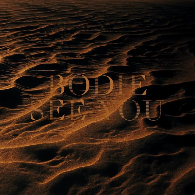 Album cover art for See You