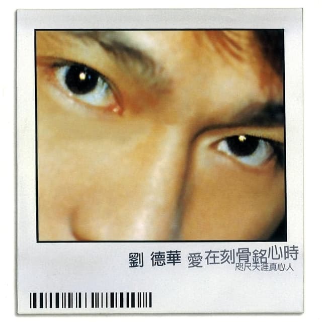 Album cover art for 愛在刻骨銘心時