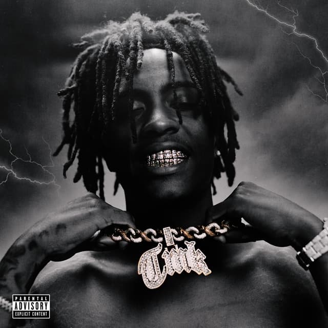 Album cover art for Here to Stay