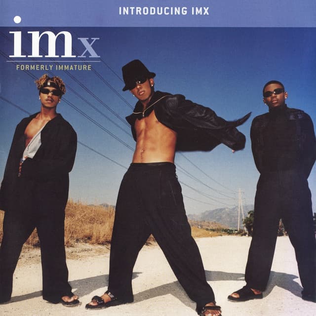 Album cover art for Introducing IMx