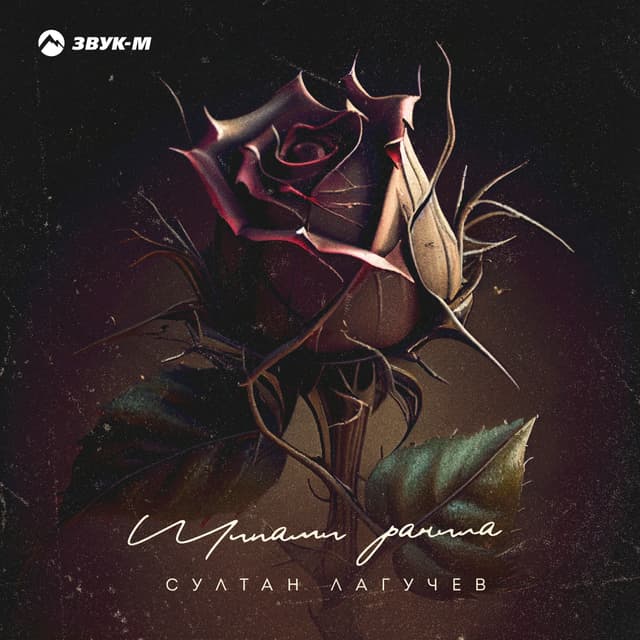 Album cover art for Шипами ранила