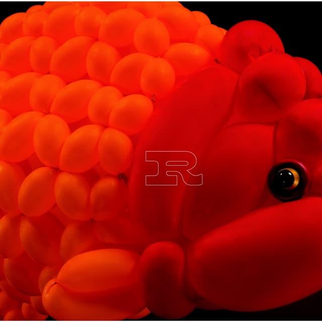 Album cover art for R