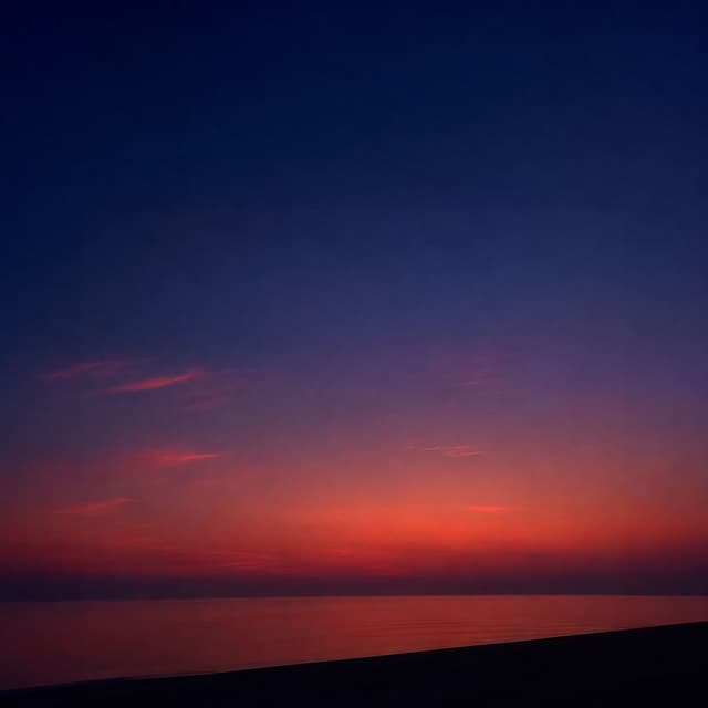 Album cover art for Summer Night