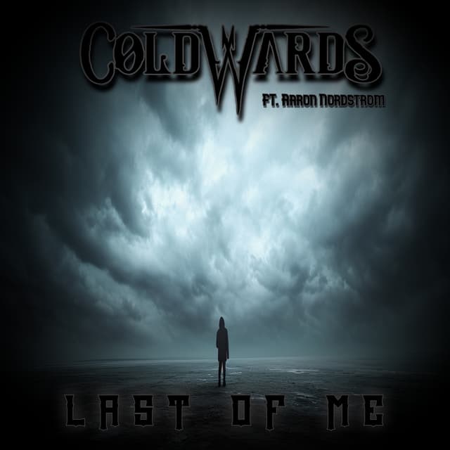 Album cover art for Last of Me