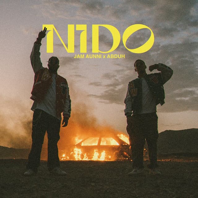 Album cover art for NIDO