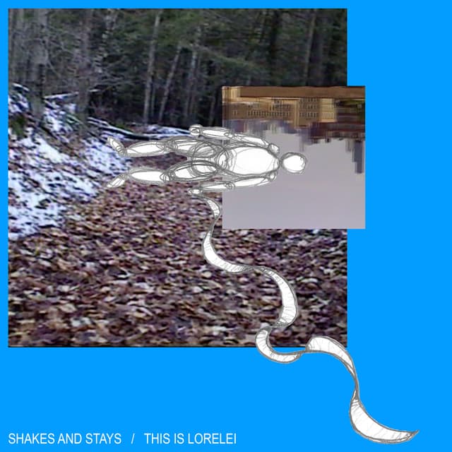 Album cover art for Shakes and Stays