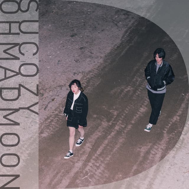Album cover art for Martini Haze