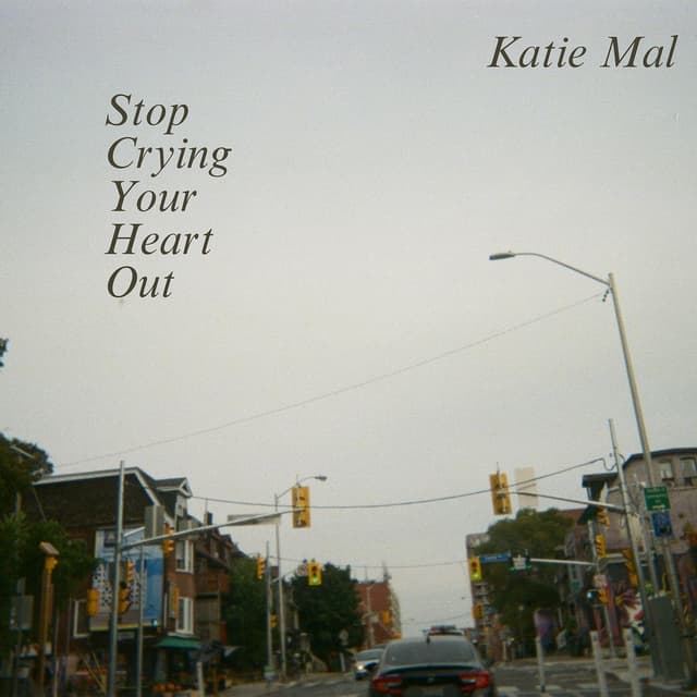 Album cover art for Stop Crying Your Heart Out