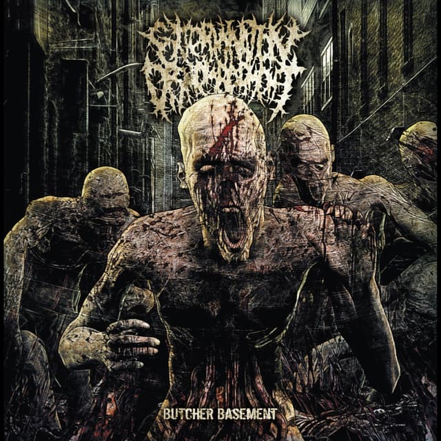 Album cover art for Butcher Basement
