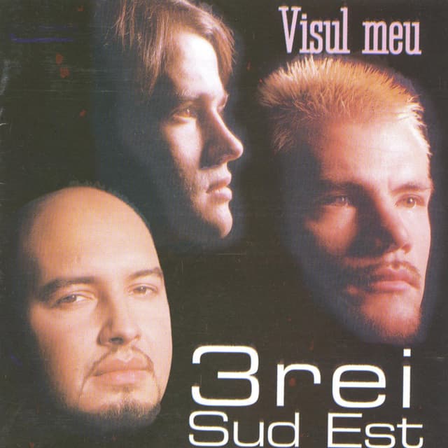 Album cover art for Visul Meu