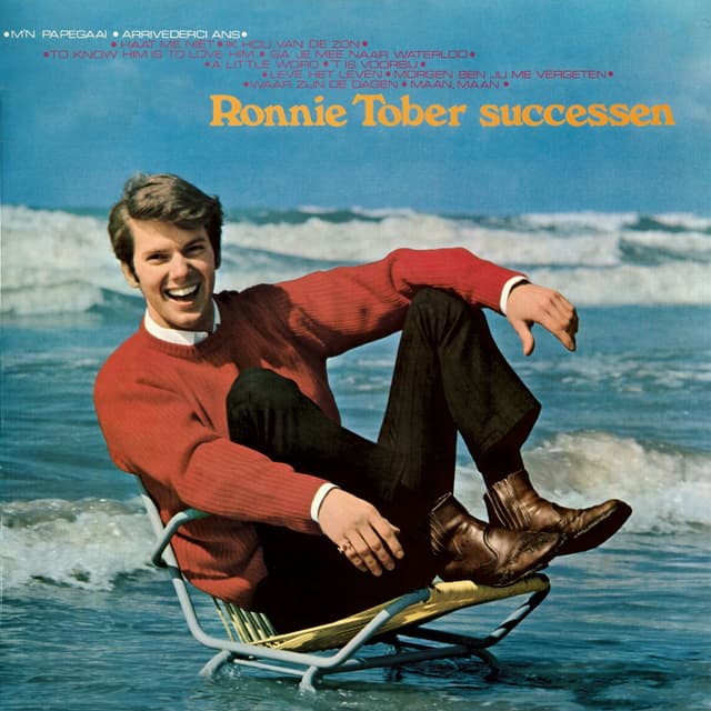 Album cover art for Ronnie Tober successen