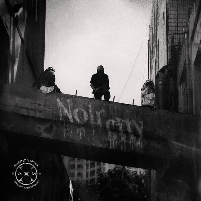 Album cover art for Noir city