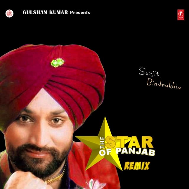 Album cover art for The Star Of Punjab Remix