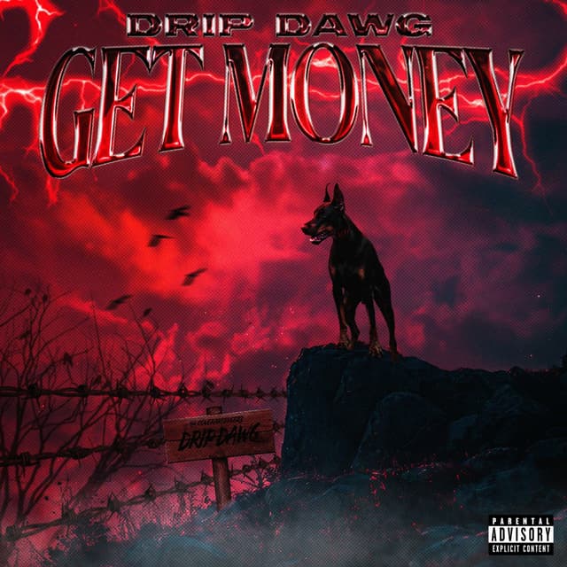 Album cover art for GET MONEY