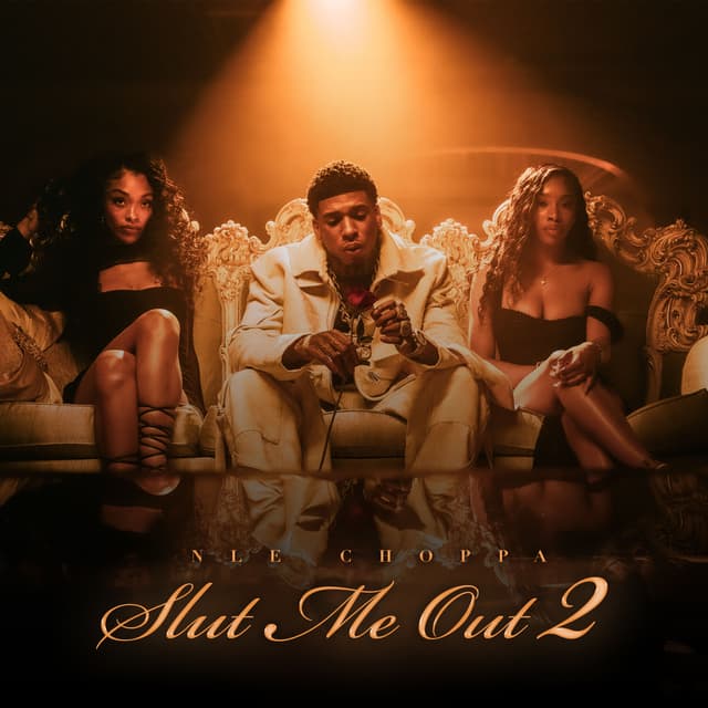 Album cover art for Slut Me Out 2