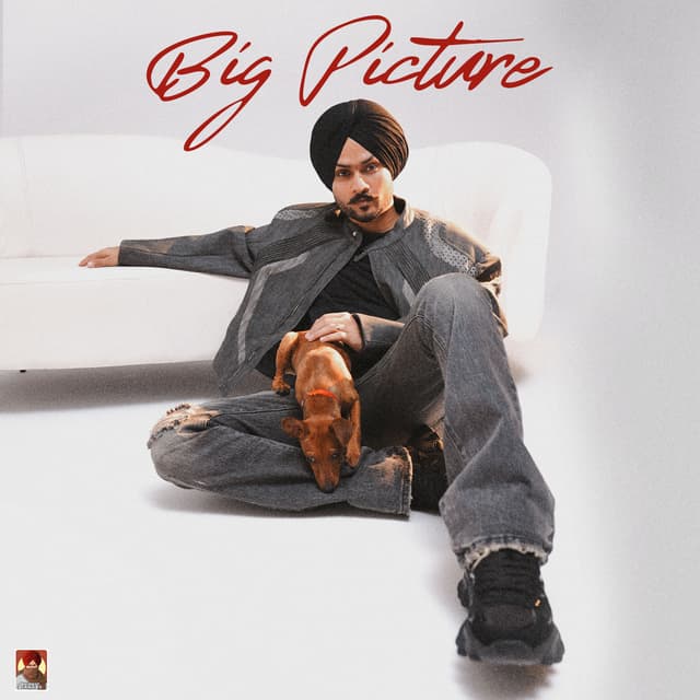 Album cover art for Big Picture