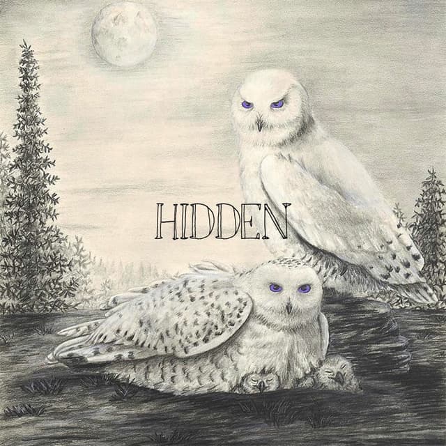 Album cover art for HIDDEN